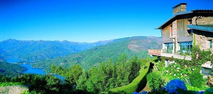 a minha próxima tarefa será encontrar o bosque perfeito - Catarina 6