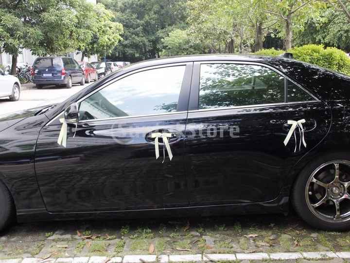 6 carro