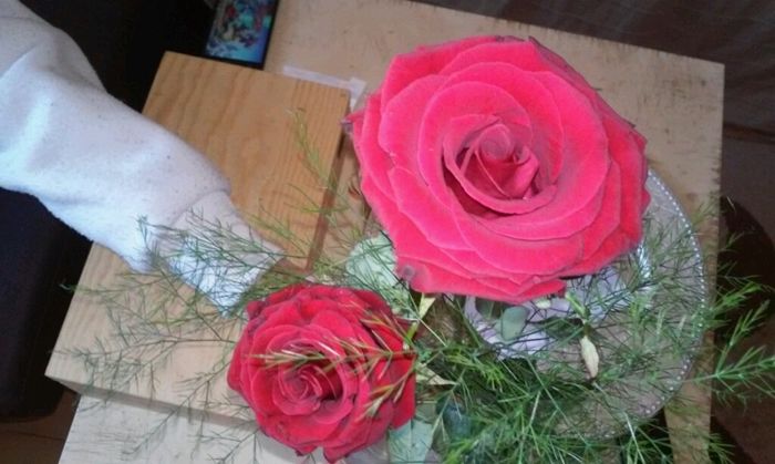 O meu dia de s valentim! e o vosso?! - 1