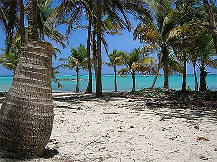 Mais um destino paradisiaco:guadelupe - 4