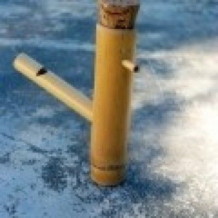 passarinho apito cana