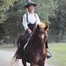 Dara