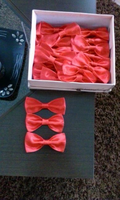 Lembranças papilons :) - 2