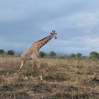 Lua de Mel - Zanzibar - 3