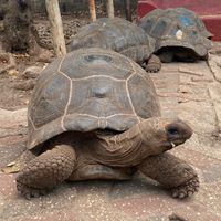 Lua de Mel - Zanzibar - 4