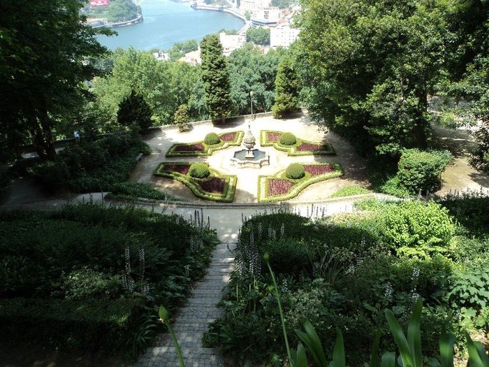 Jardim