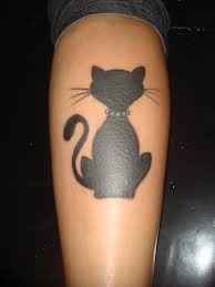 tatuagem gato