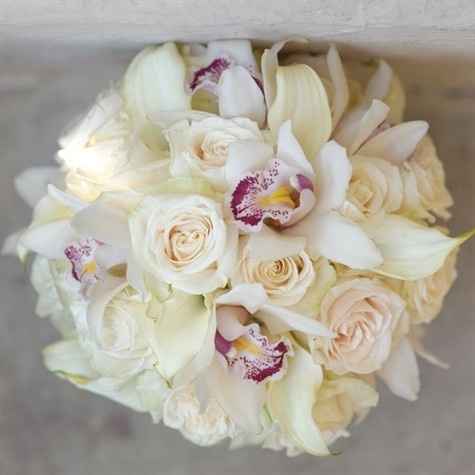 Rosas e orquídeas