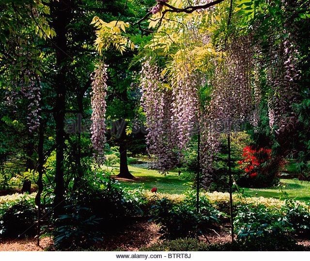 - Jardins Botânicos Nacionais