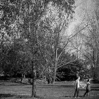 Sessão solteiros - parque da cidade - 3