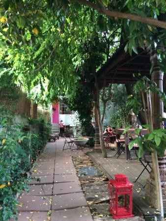 Lateral da Tenda(onde vou pendurar as flores)