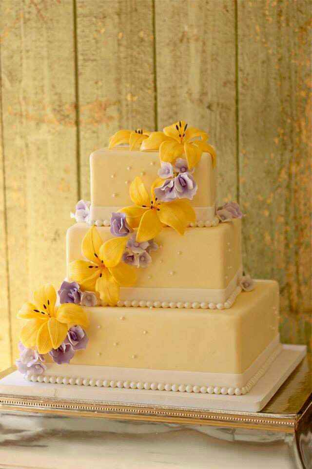 Mês de Fevereiro - Roxo e Amarelo💜💛 - 13