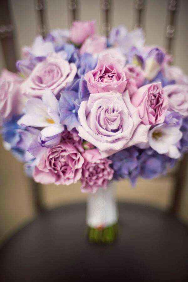 Mês de Fevereiro - Roxo e as Hortênsias 💜 - 2