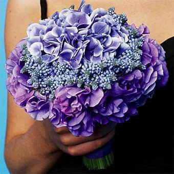 Mês de Fevereiro - Roxo e as Hortênsias 💜 - 3