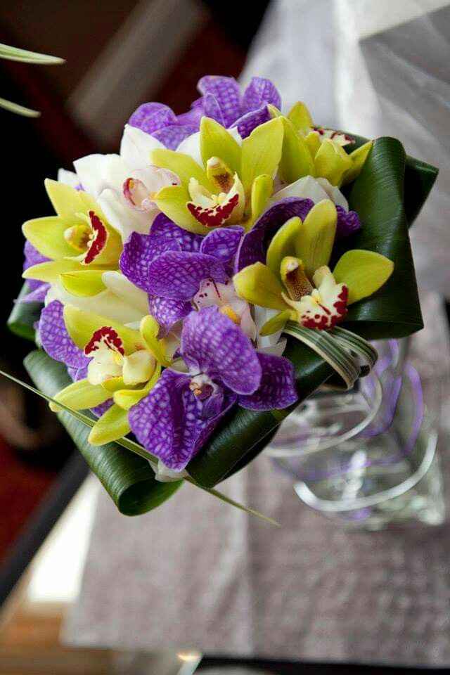 Mês de Fevereiro  - Roxo e as Orquídeas 💜 - 8