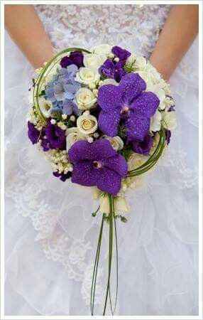 Mês de Fevereiro  - Roxo e as Orquídeas 💜 - 10