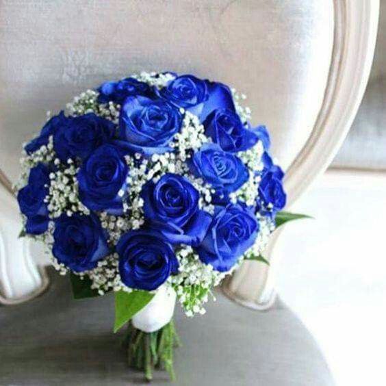Mês de Novembro - Azul Royal - 8