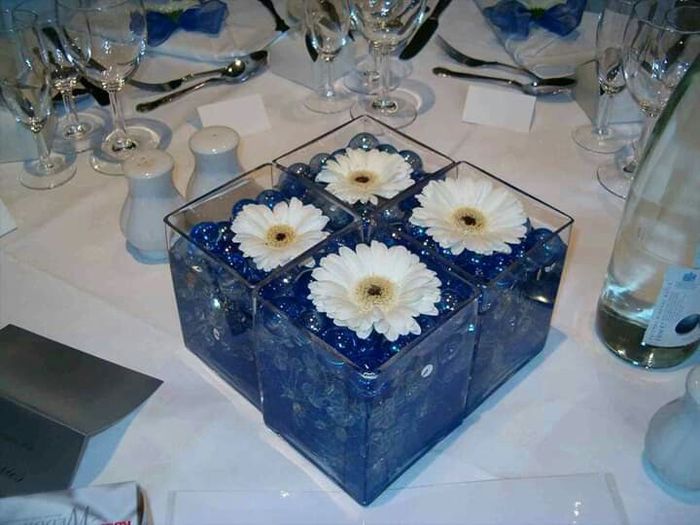 Mês de Novembro - Azul Royal - 16