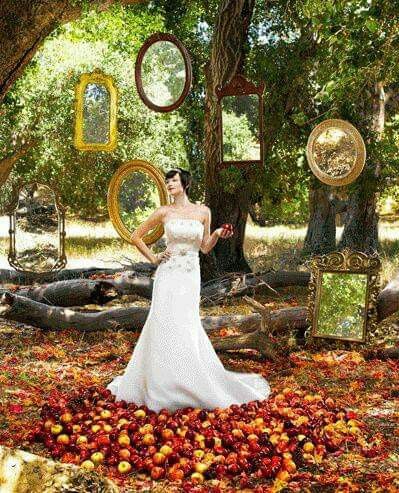 Mês de Dezembro - vermelho e a Branca de Neve❤🍎🍏👸🏰 - 24