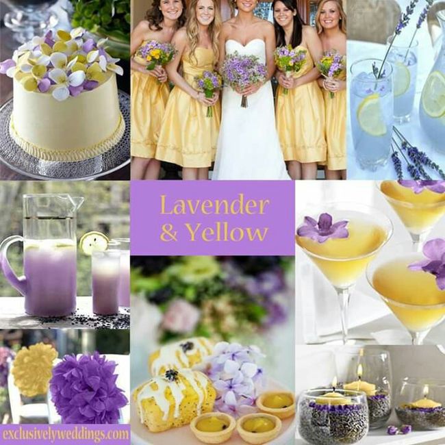 Mês de Fevereiro - Roxo e Amarelo💜💛 - 11