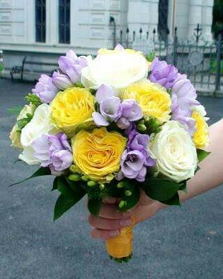 Mês de Fevereiro - Roxo e Amarelo💜💛 - 12