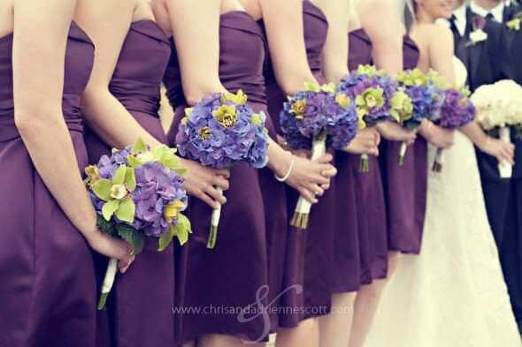 Mês de Fevereiro - Roxo e as Hortênsias 💜 - 1