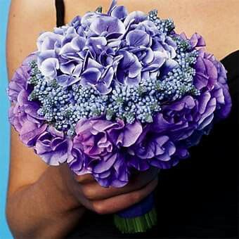 Mês de Fevereiro - Roxo e as Hortênsias 💜 - 3