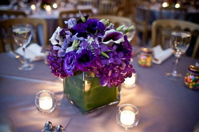 Mês de Fevereiro - Roxo e as Hortênsias 💜 - 4