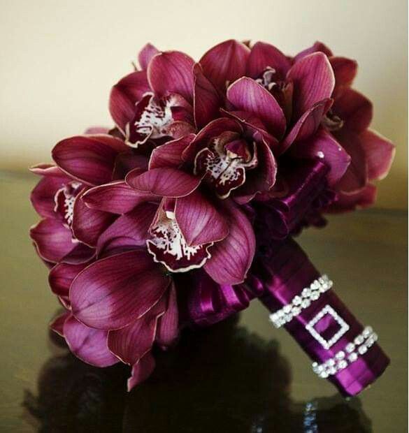 Mês de Fevereiro  - Roxo e as Orquídeas 💜 - 1