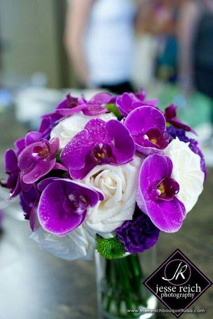 Mês de Fevereiro  - Roxo e as Orquídeas 💜 - 2