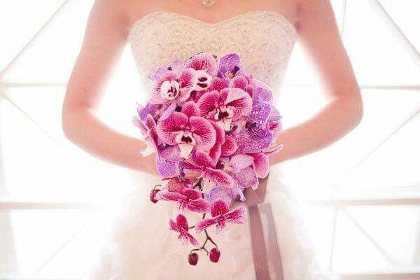 Mês de Fevereiro  - Roxo e as Orquídeas 💜 - 6