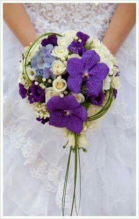Mês de Fevereiro  - Roxo e as Orquídeas 💜 - 10