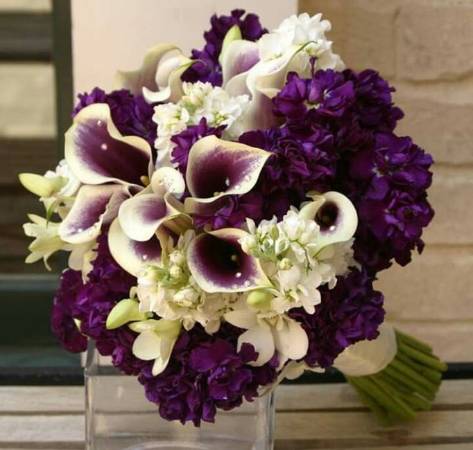 Mês de Fevereiro  - Roxo e os Jarros 💜 - 20