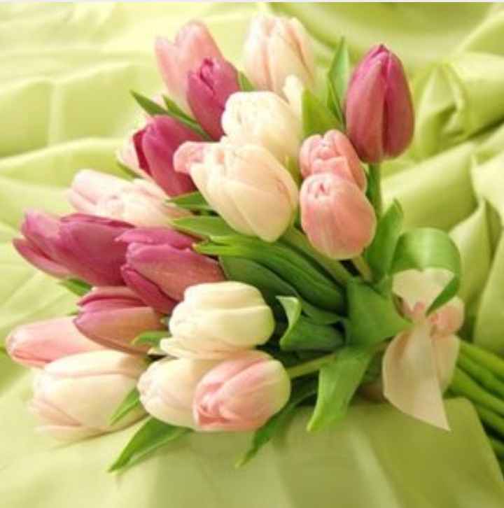 Flores e mais flores - 16
