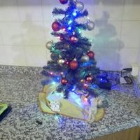 Um natal feliz e cheio de amor - 1