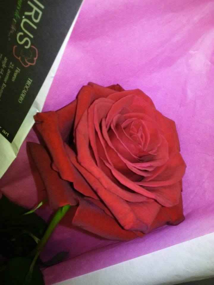 Pedido de casamento