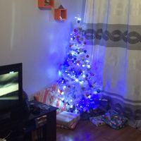 Já fizeram a vossa Árvore de natal? - 1