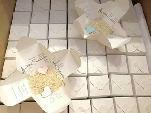 Cones ou saquetas? - 1