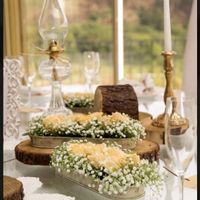 Quais as cores que vão predominar no vosso casamento? - 1