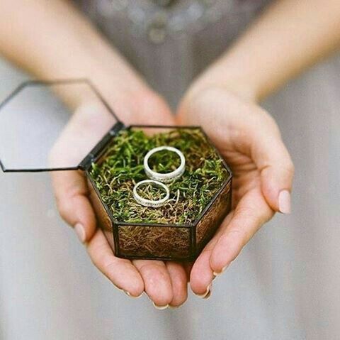 Caixa para alianças 2