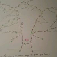 Arvore genealógica - 1