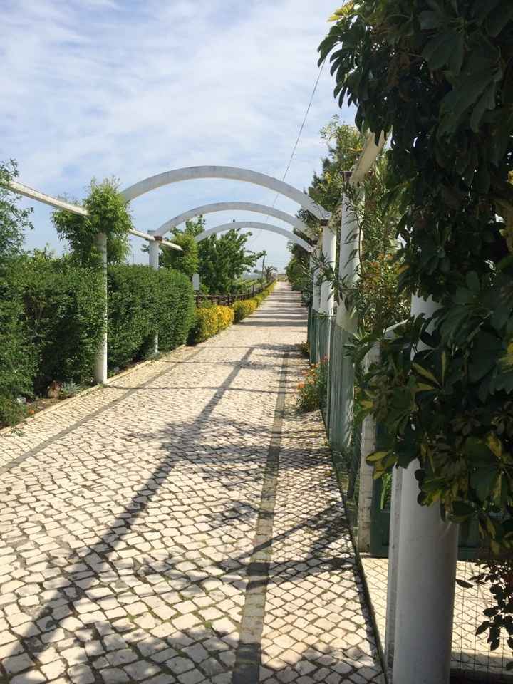 E a quinta eleita é.... qual é a vossa? - 1