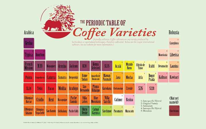 Cafés diferentes