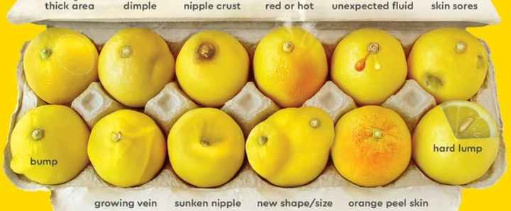 https://knowyourlemons.com/