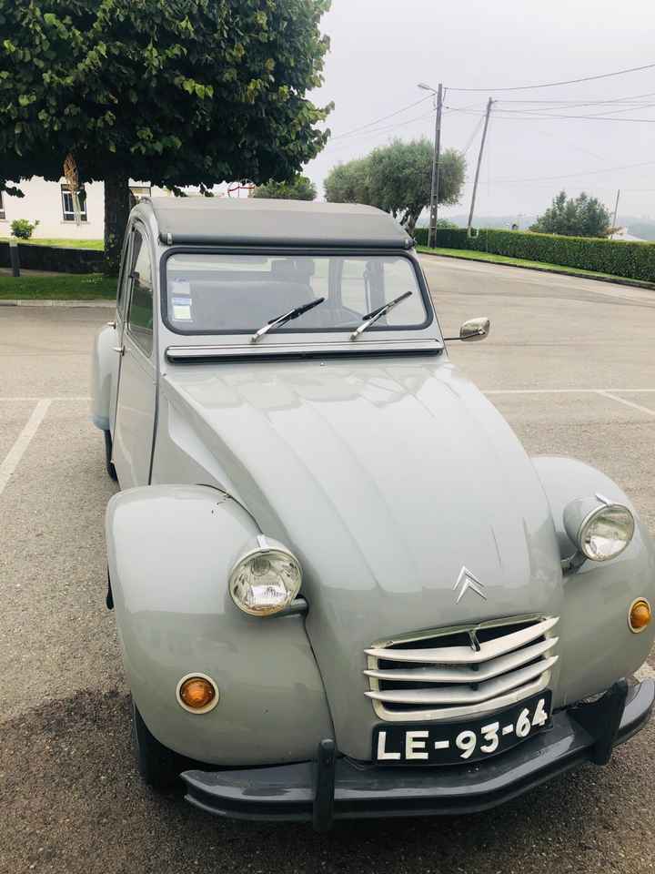 Campo no inverno - 1