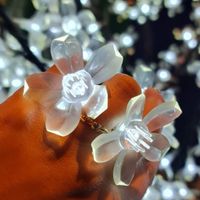 Como foi o pedido de casamento? - 1