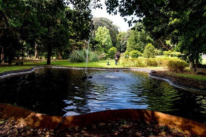 top 50 - São Miguel 6