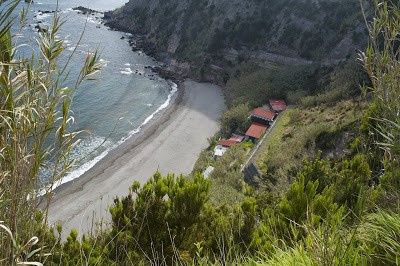 top 50 - São Miguel 24