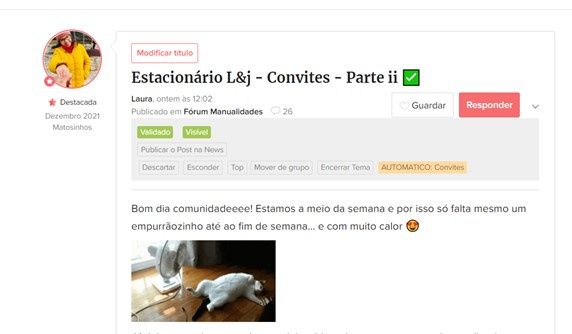 Guia para noivas novatas: como usar a Comunidade 💕 - 6