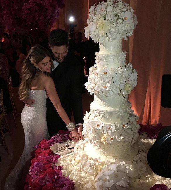 Sofia Vergara celebra 6 anos de casamento! 3